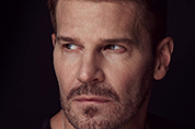 David Boreanaz
